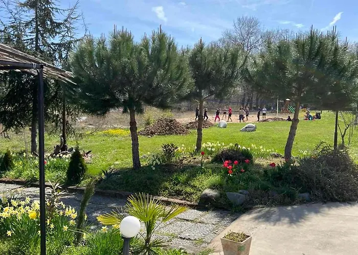 Surf Ξενοδοχείο *