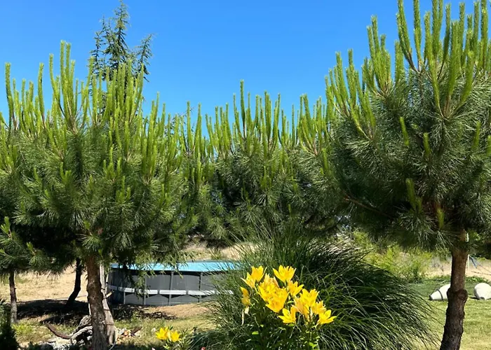 Surf Hotel Primorsko